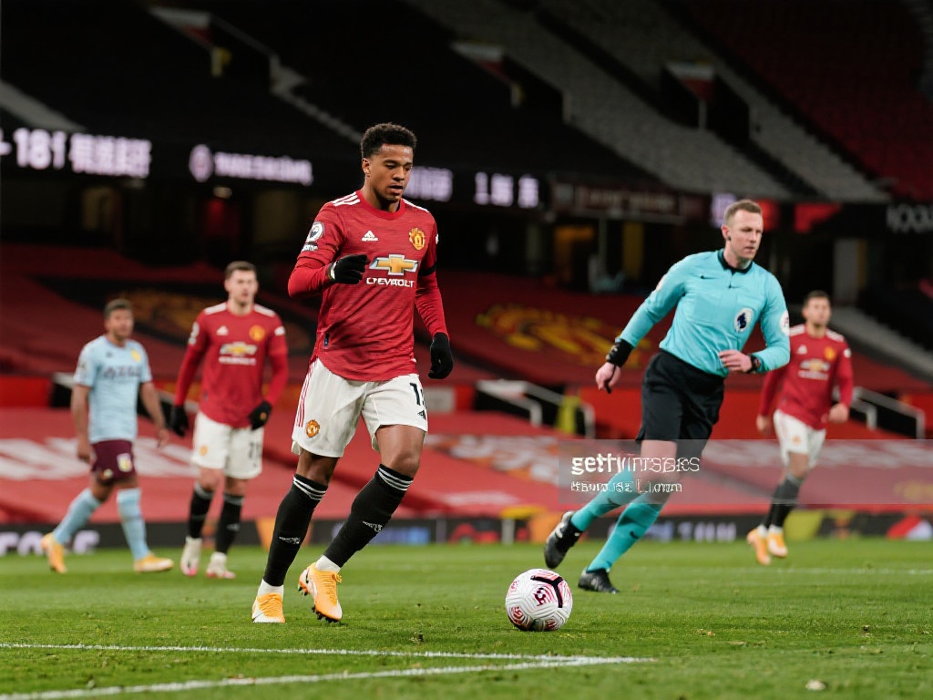 没有给予杨 没有给予杨